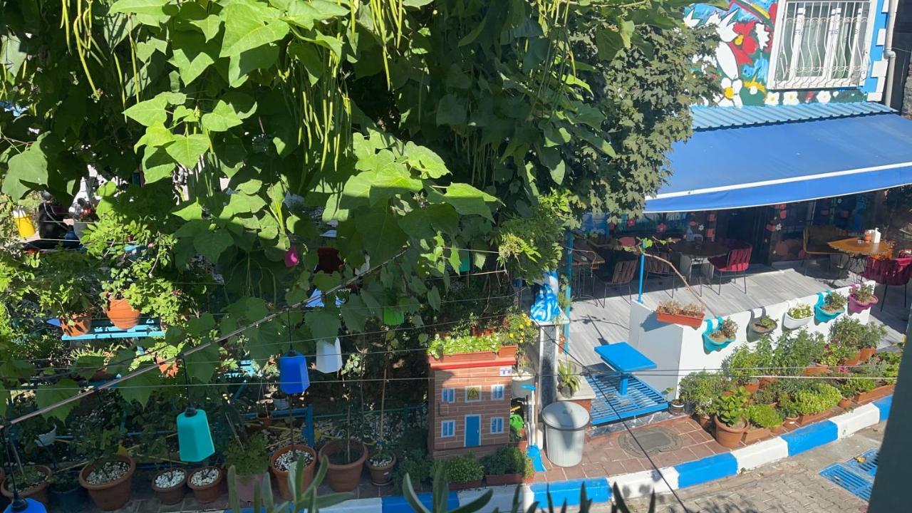 Sultanahmet Isil Hotel 伊斯坦布尔 外观 照片